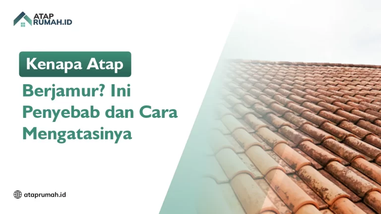 Kenapa Atap Berjamur? Ini Penyebab dan Cara Mengatasinya