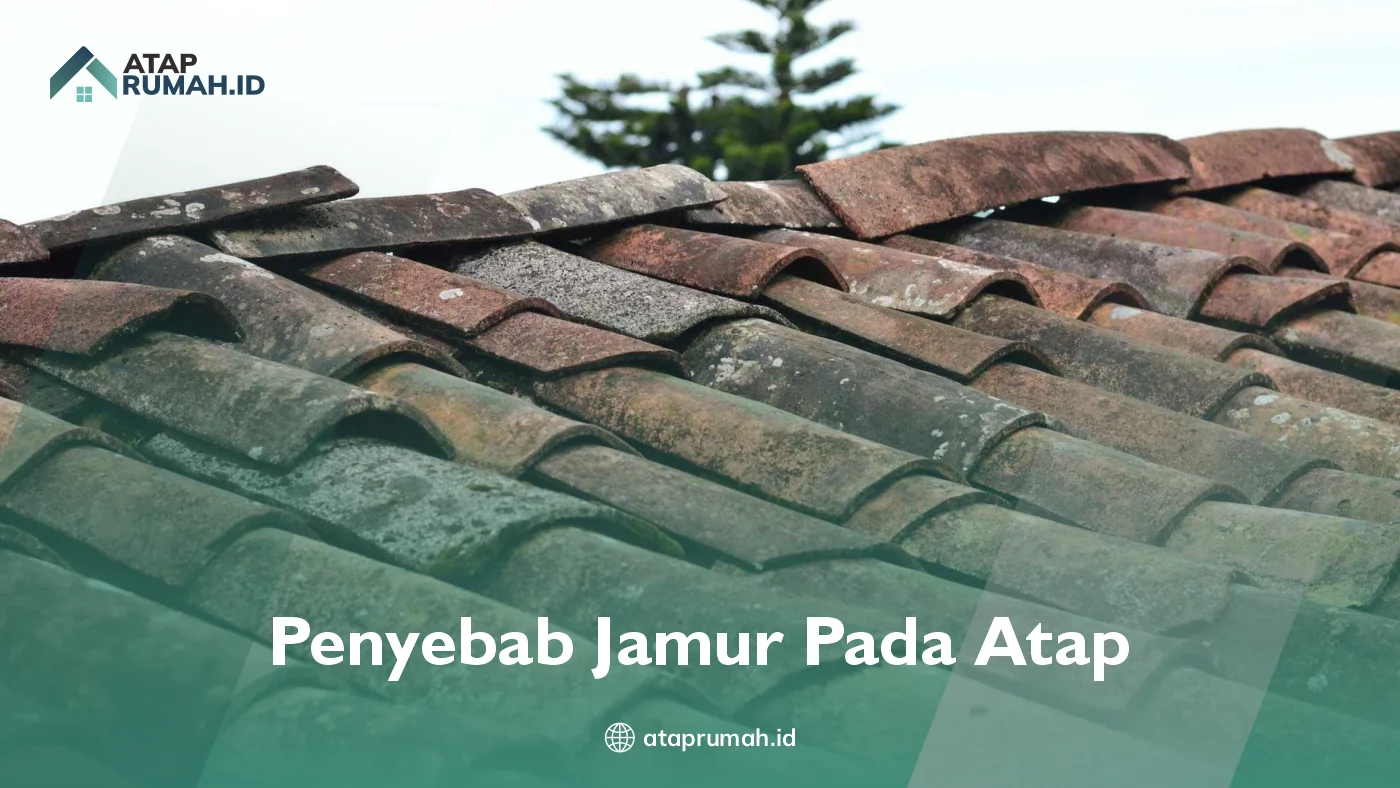 Kenapa Atap Berjamur ?
