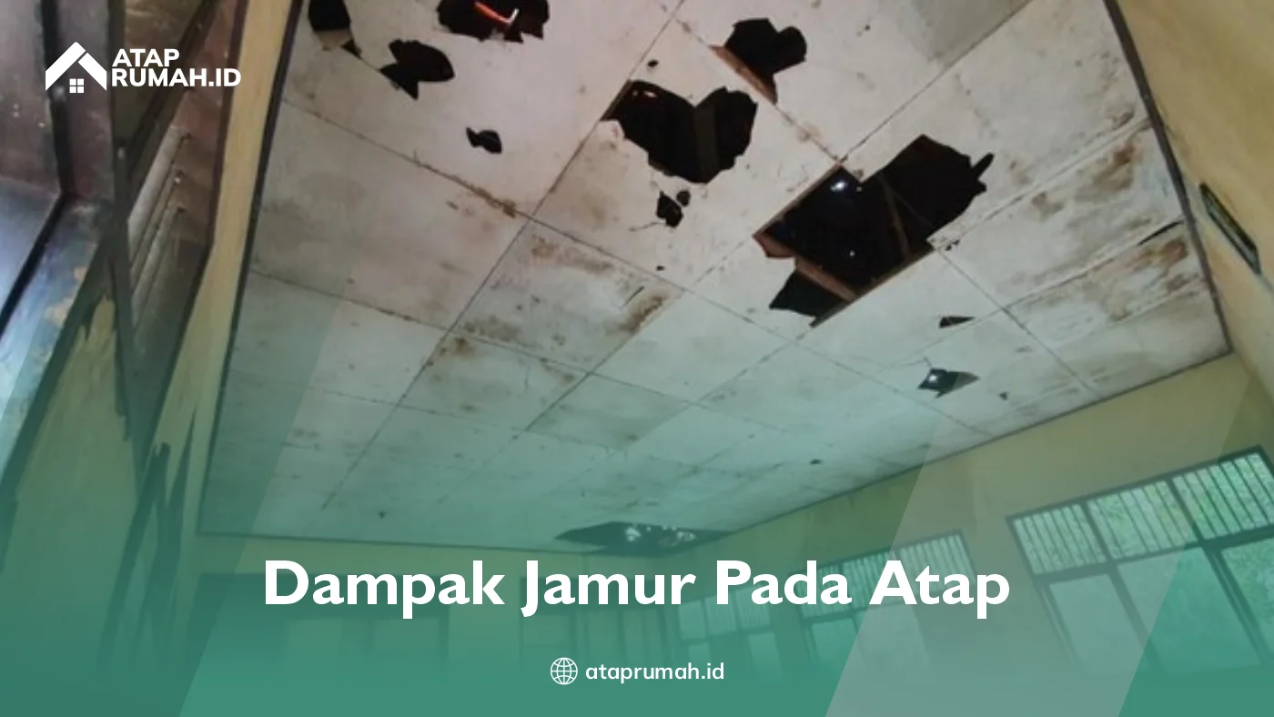 Dampak Jamur Pada Atap