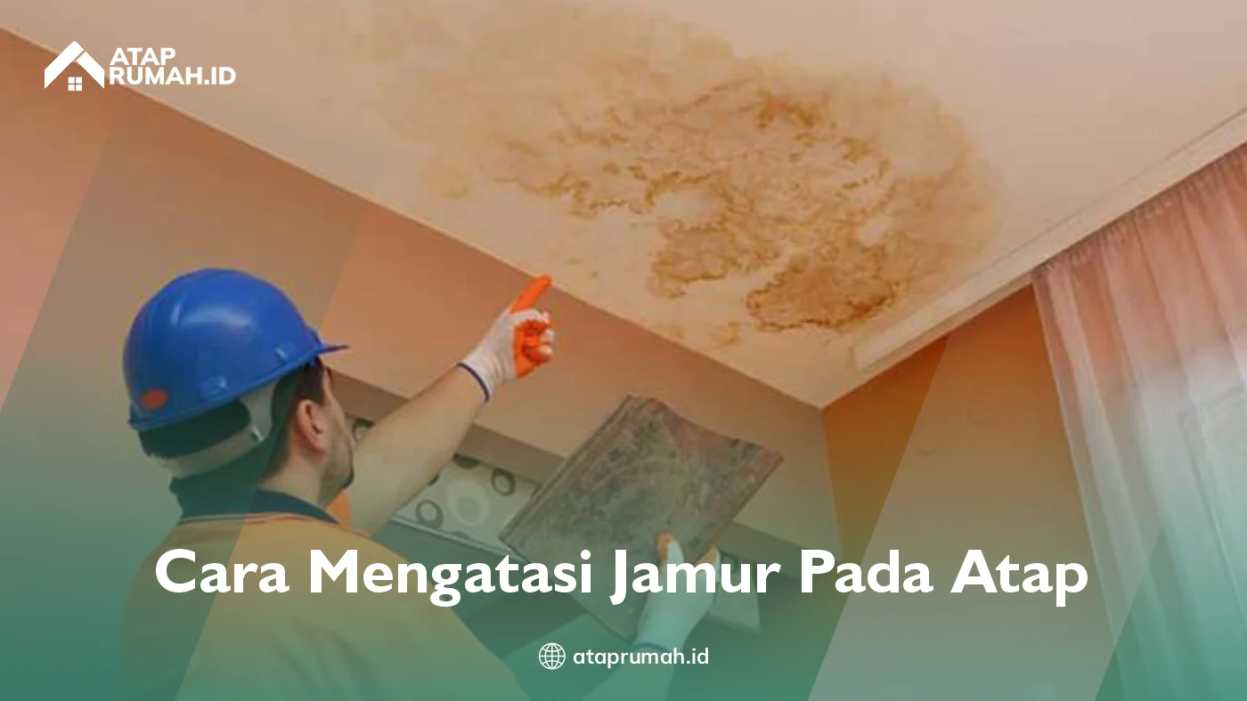 Cara Mengatasi Jamur Pada Atap