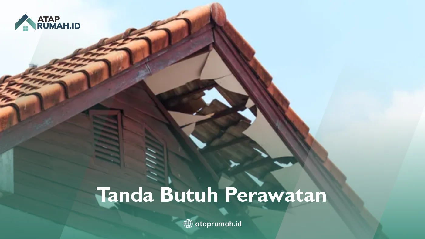 Apa Saja Tanda-Tanda Atap Mulai Butuh Perawatan?
