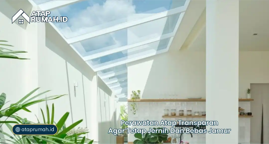 Perawatan Atap Transparan agar Tetap Jernih dan Bebas Jamur