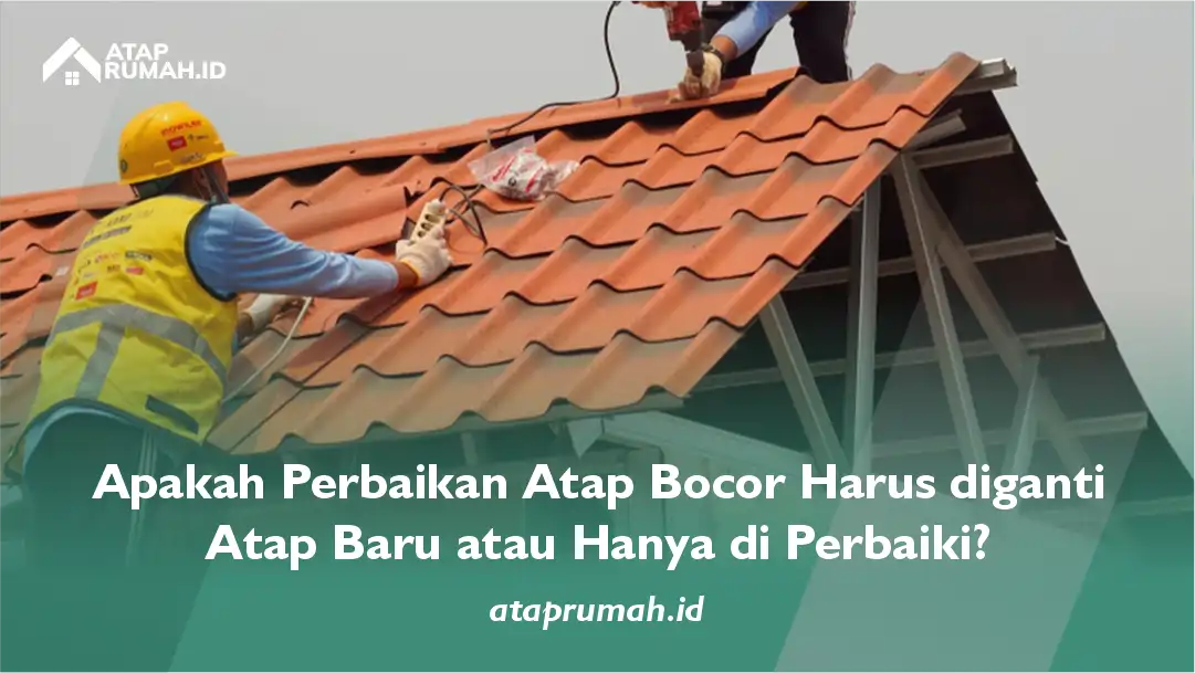 Apakah Perbaikan Atap Bocor Harus diganti Atap Baru atau Hanya di Perbaiki?
