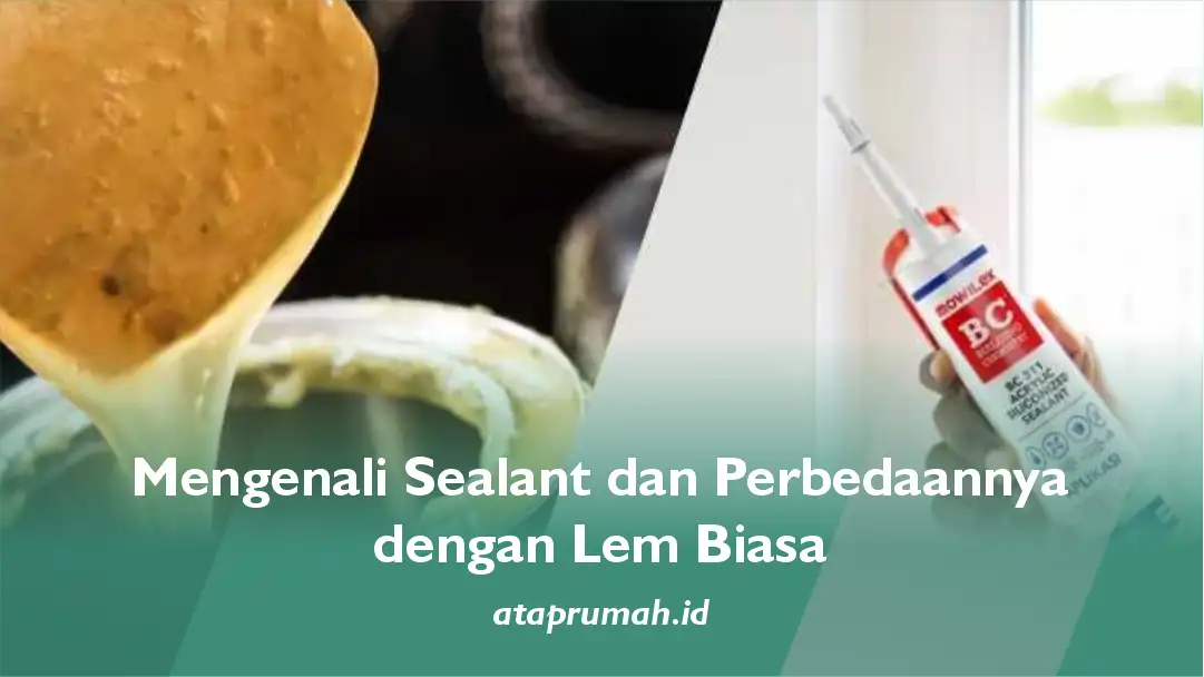 Mengenali Sealant dan Perbedaannya dengan Lem Biasa