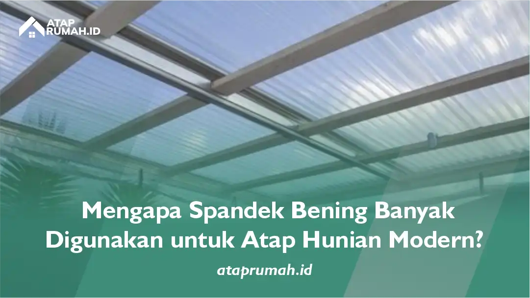 Mengapa Spandek Bening Banyak Digunakan untuk Atap Hunian Modern?