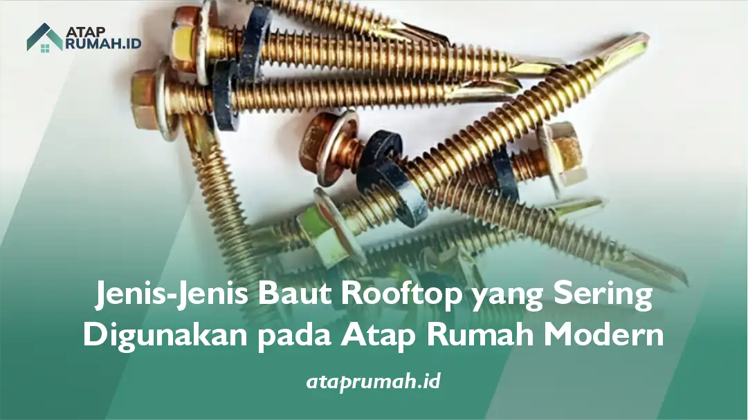 Jenis-Jenis Baut Rooftop yang Sering Digunakan pada Atap Rumah Modern