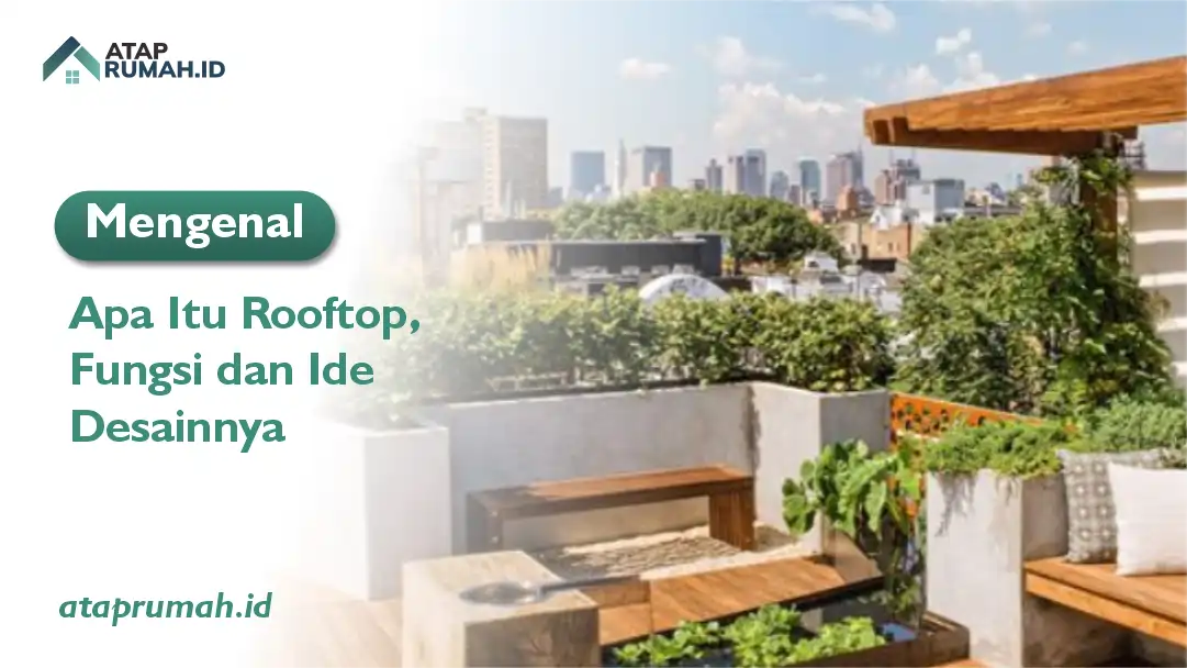 Mengenal Apa Itu Rooftop, Fungsi dan ide Desainnya