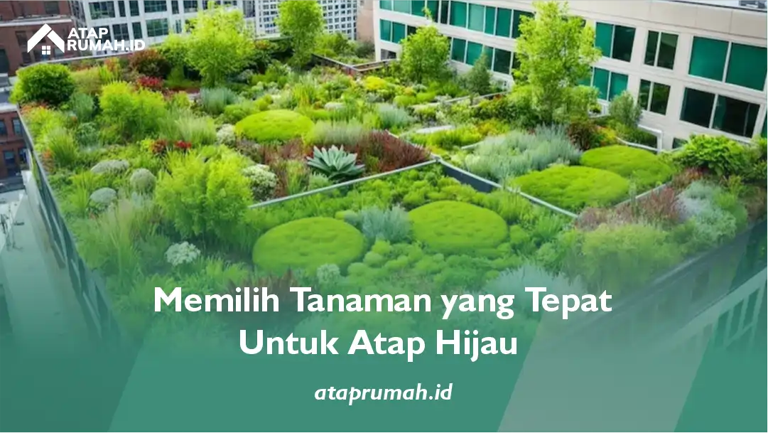 Langkah Persiapan Sebelum Membuat Green Rooftop