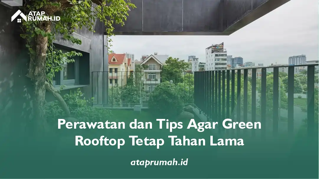 Perawatan dan Tips Agar Green Rooftop Tetap Tahan Lama