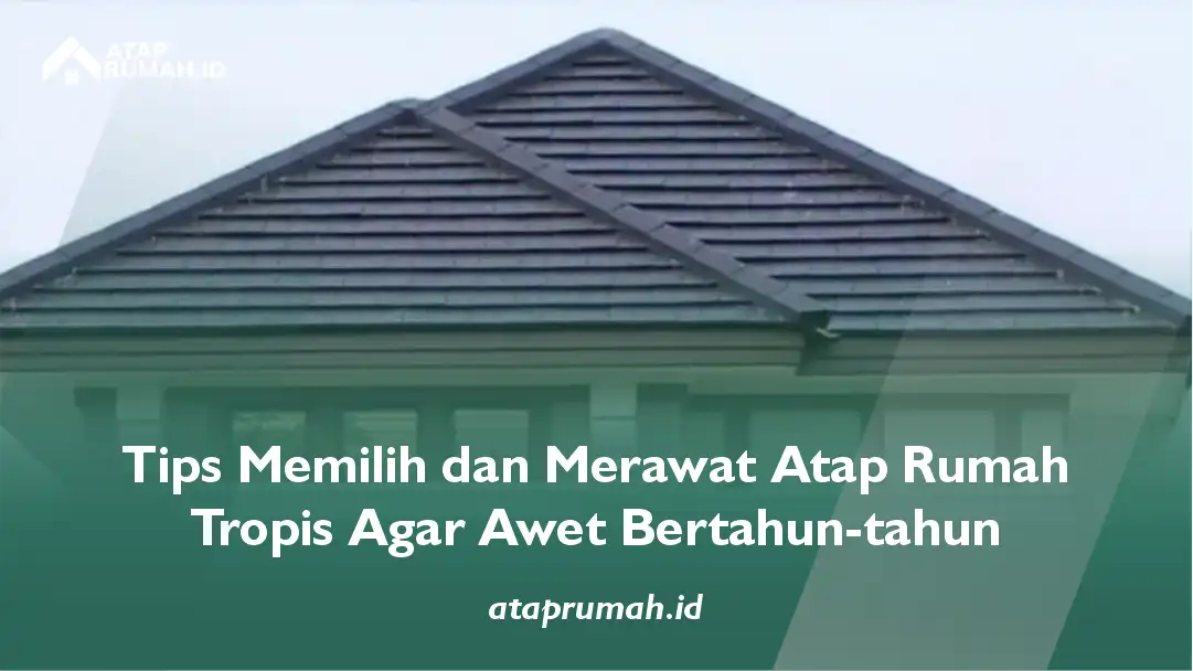 Tips Memilih dan Merawat Atap Rumah Tropis Agar Awet Bertahun-tahun