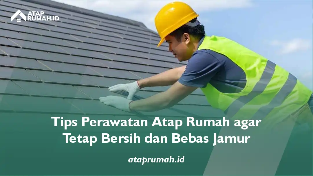 Tips Perawatan Atap Rumah agar Tetap Bersih dan Bebas Jamur