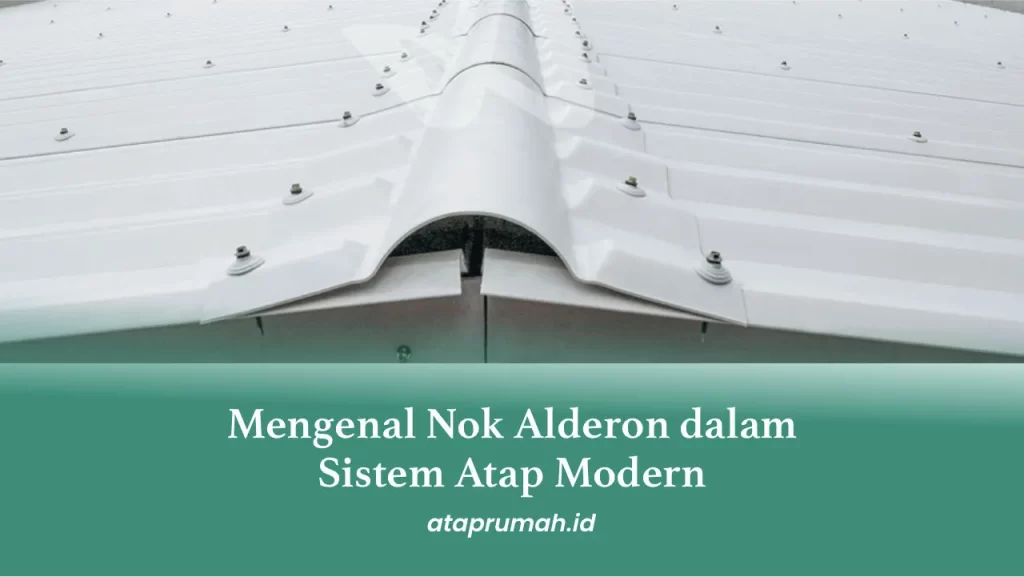 Mengenal Alderon RS Roma, Asbes, dan Seng