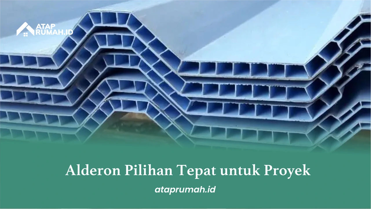 Alderon Pilihan Tepat untuk Proyek
