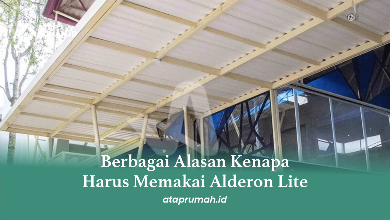 Berbagai Alasan Kenapa Harus Memakai Alderon Lite