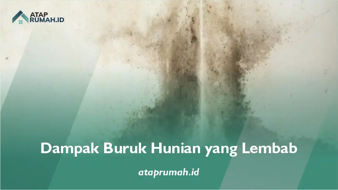 Dampak Buruk Hunian yang Lembab