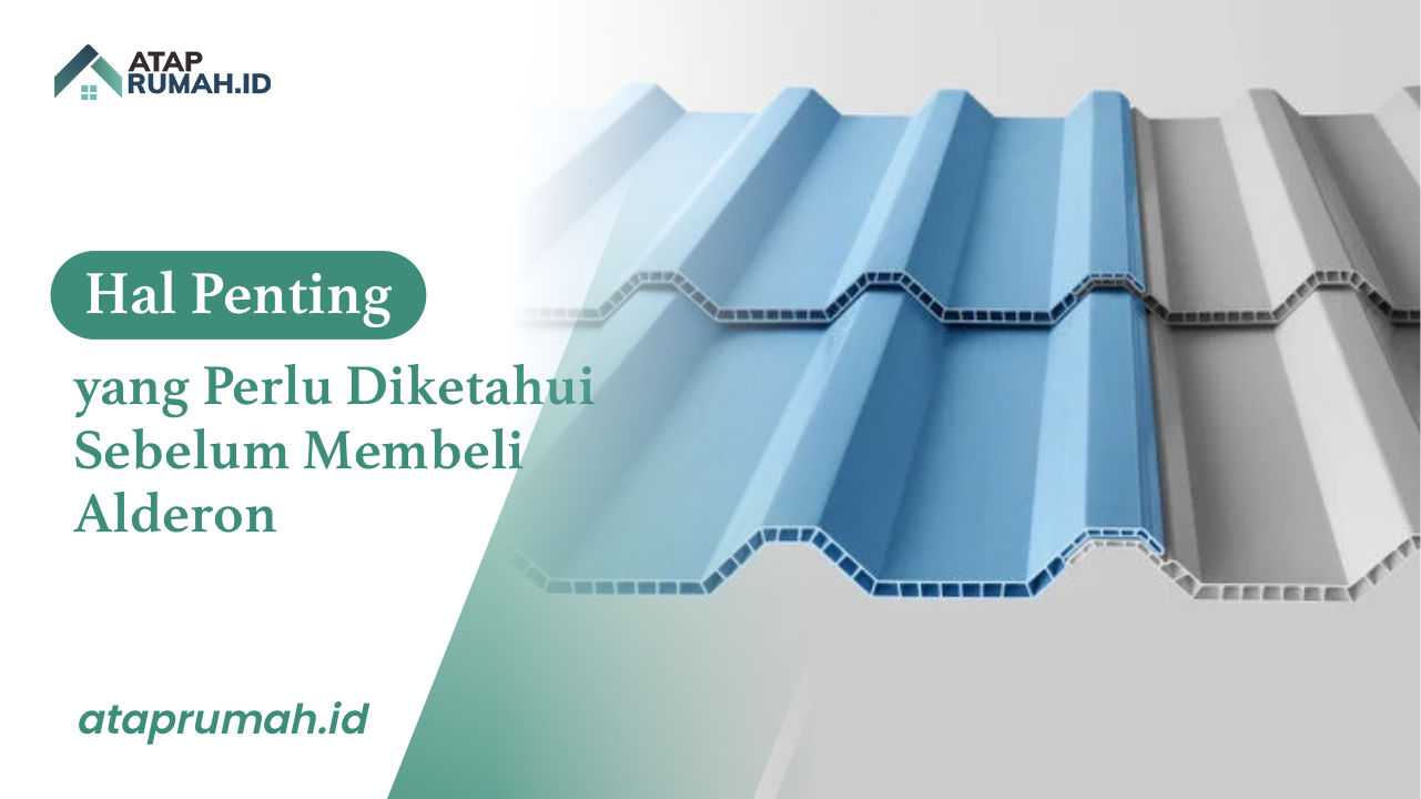 Hal Penting yang Perlu Diketahui Sebelum Membeli Alderon