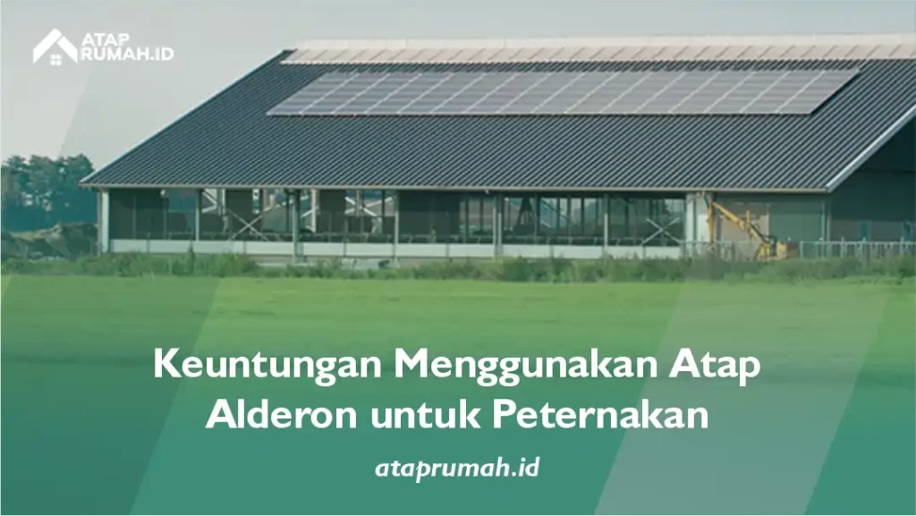 Keuntungan Menggunakan Atap Alderon untuk Peternakan