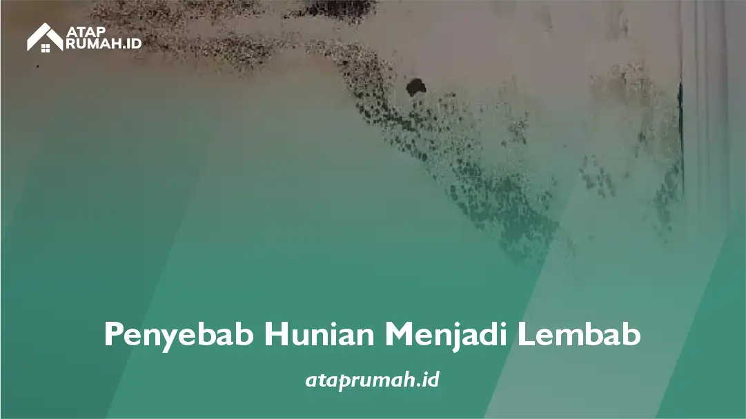 Penyebab Hunian Menjadi Lembab