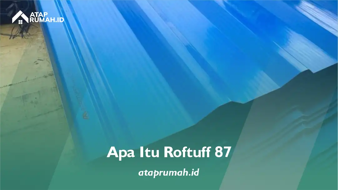 Apa Itu Roftuff 87