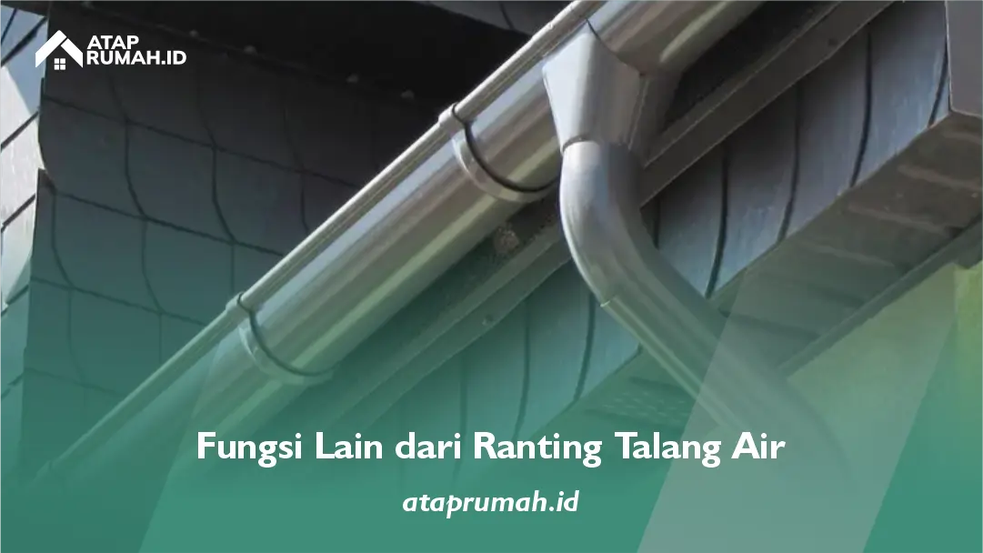 1. Fungsi Lain dari Ranting Talang Air
