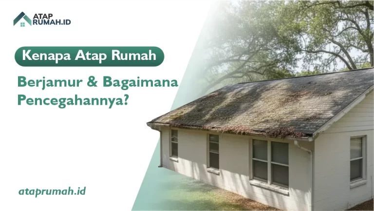 Kenapa Atap Rumah Berjamur dan Bagaimana Pencegahannya?