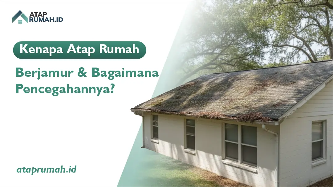 Kenapa Atap Rumah Berjamur dan Bagaimana Pencegahannya