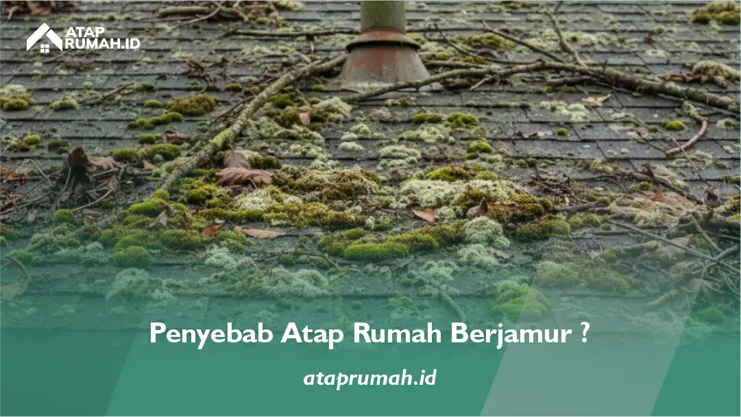 Penyebab Atap Rumah Berjamur