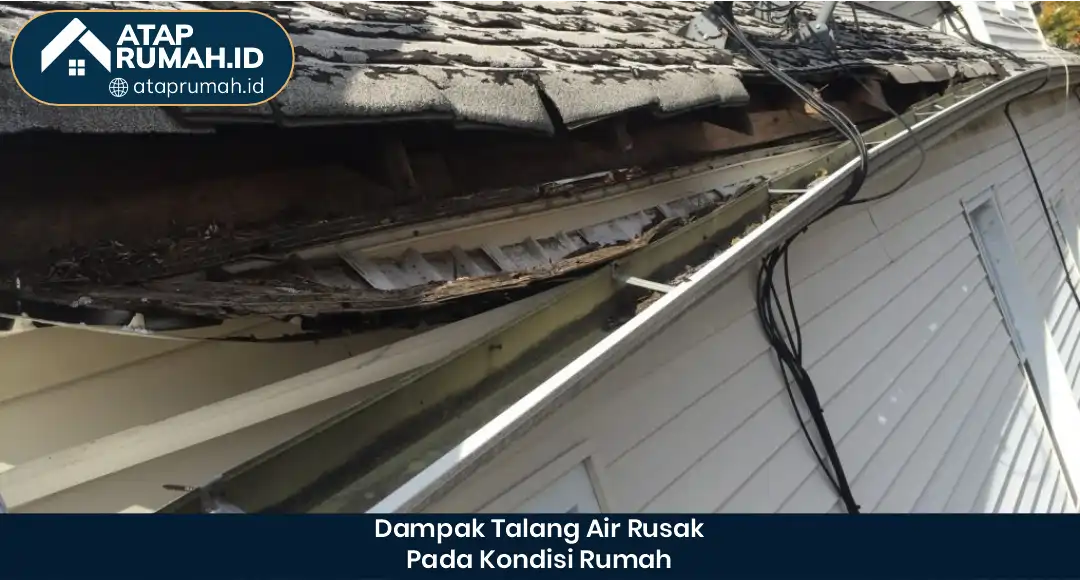 04 Dampak Talang Air Rusak Pada Kondisi Rumah