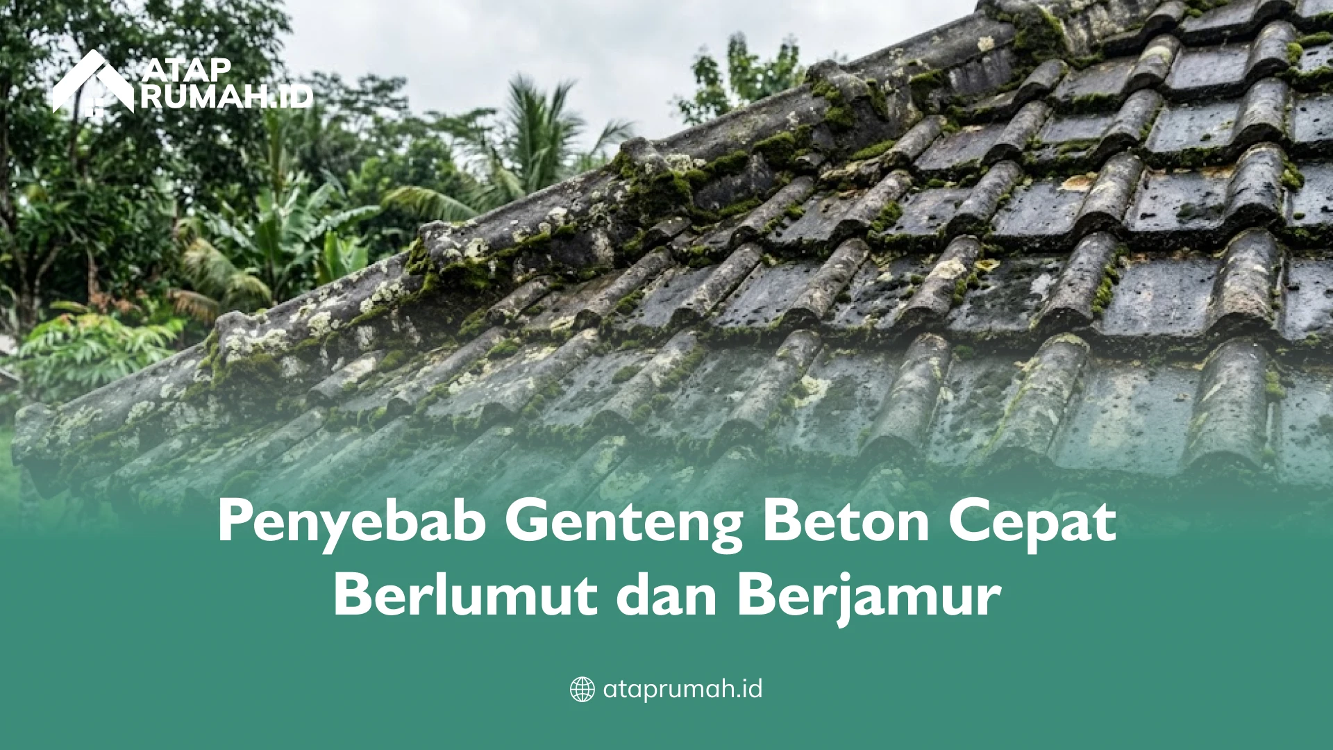 Penyebab Genteng Beton Cepat Berlumut dan Berjamur