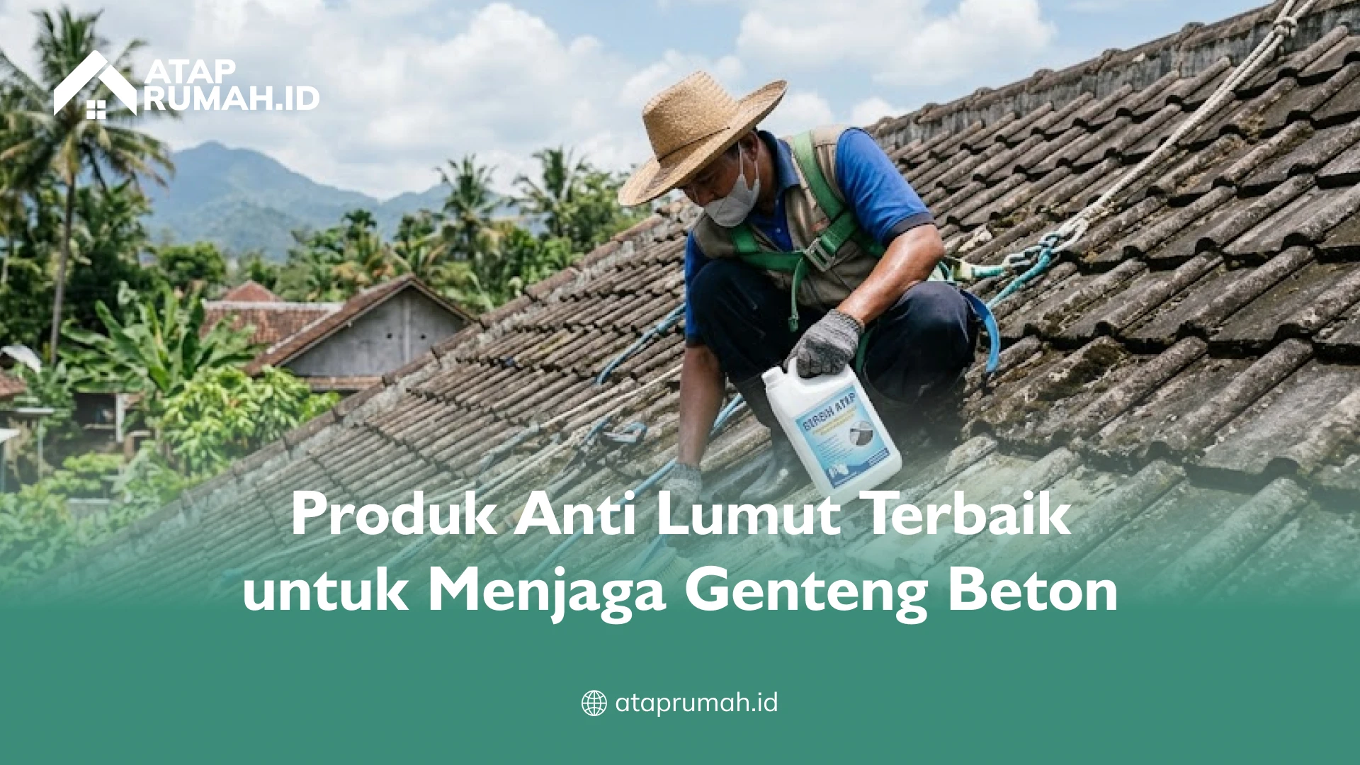 Produk Anti Lumut Terbaik untuk Menjaga Genteng Beton