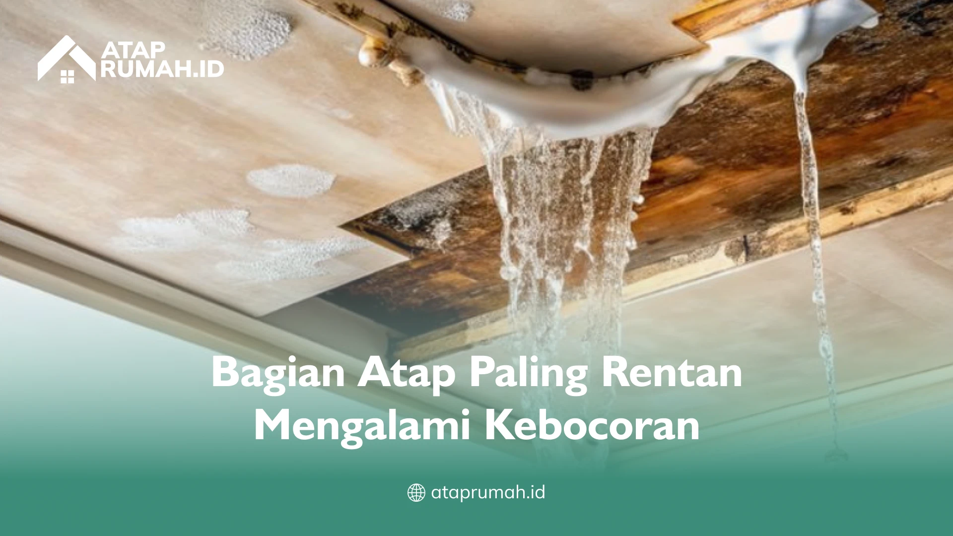 Bagian Atap Paling Rentan Mengalami Kebocoran
